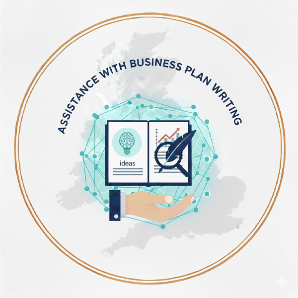 Assistance with business plan writing